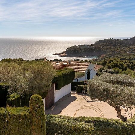 Alta House Apartments Sa Blava Begur Luaran gambar