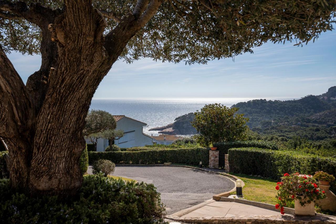 Alta House Apartments Sa Blava Begur Luaran gambar